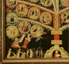 The Tree of Life